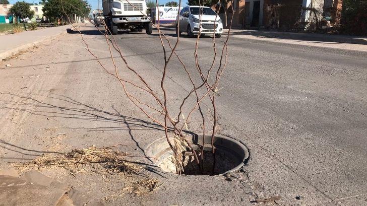 Se ha convertido en una trampa mortal para conductores