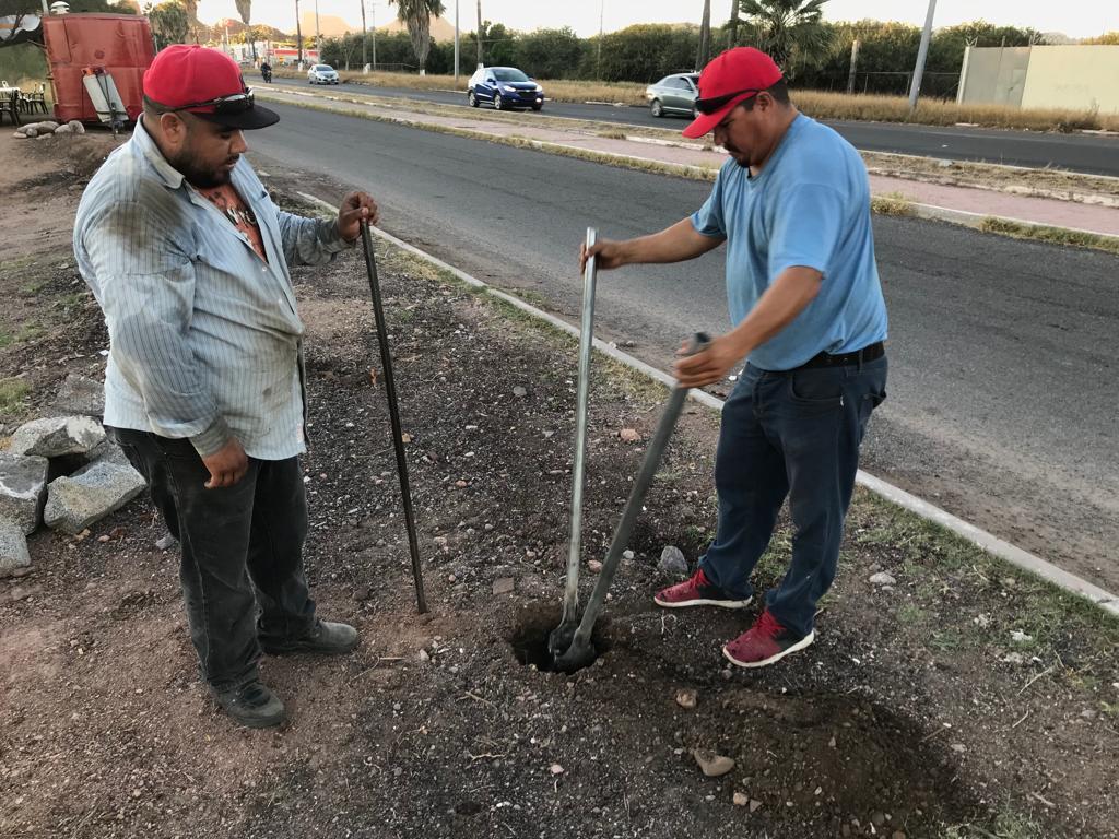 Dice alcaldesa de Guaymas no estar enterada de construcción de cerco para playa de San Carlos