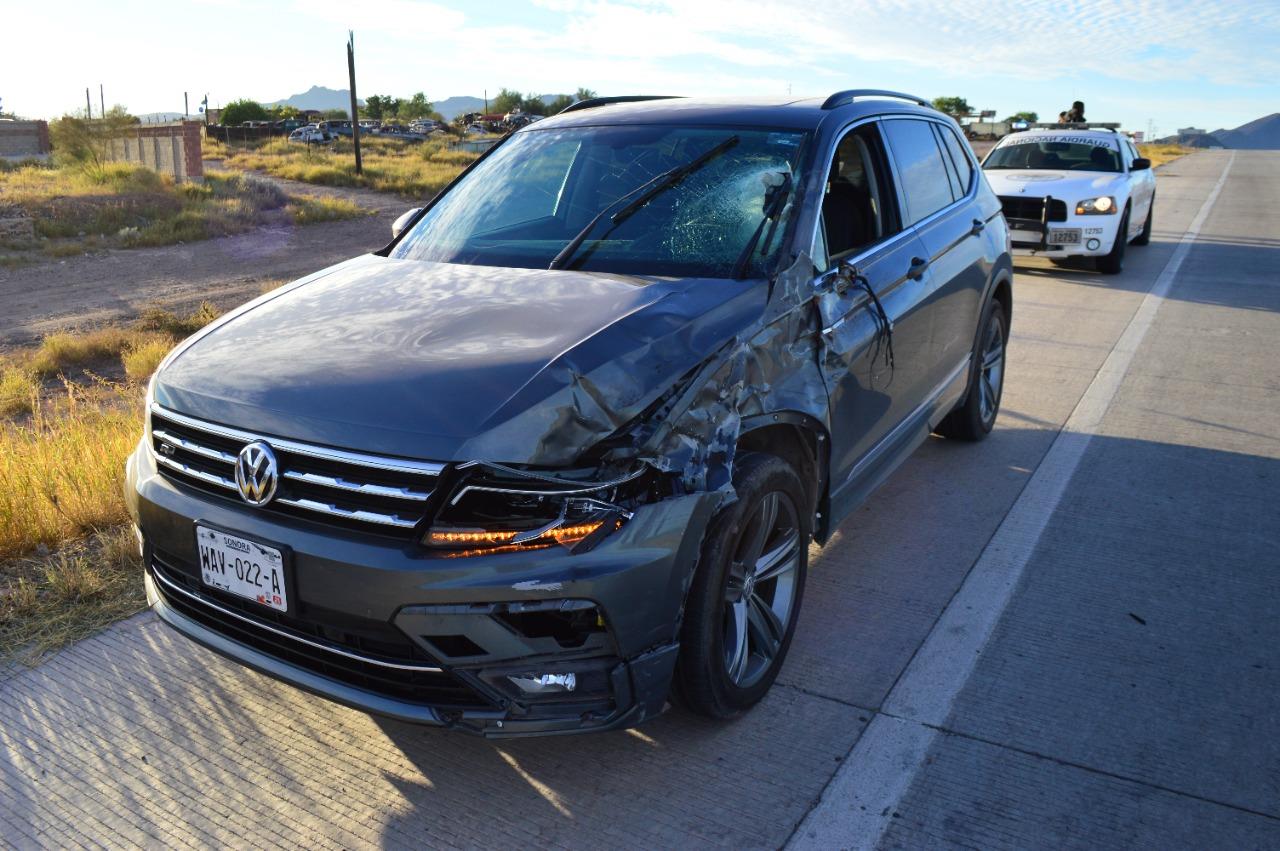Automovilista choca contra caballo en carretera de Guaymas; el animal muere