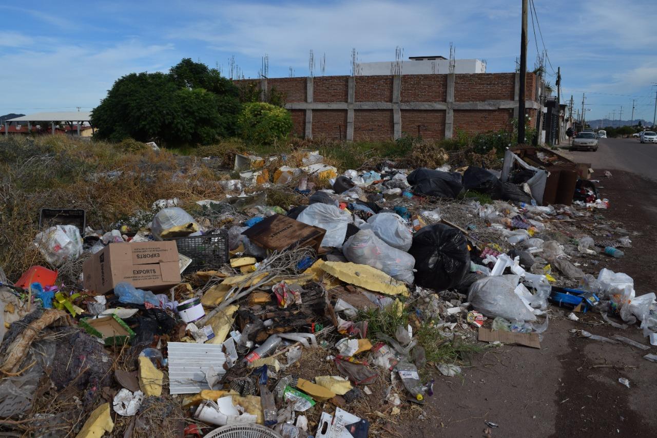 Desde maleza hasta animales muertos y sillones, este foco de infección en Guaymas Norte tiene preocupados a los vecinos