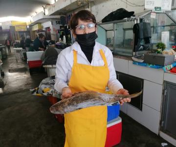 Aumentan ventas en pescaderías de Navojoa