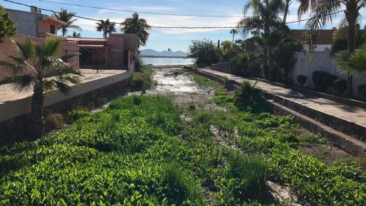 Dan mejoralito a problema de aguas negras en Guaymas