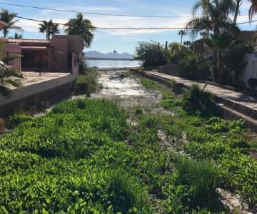 Dan mejoralito a problema de aguas negras en Guaymas