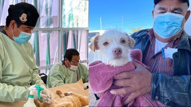 Por el bien de los lomitos: un centenar de mascotas son esterilizadas en Nogales