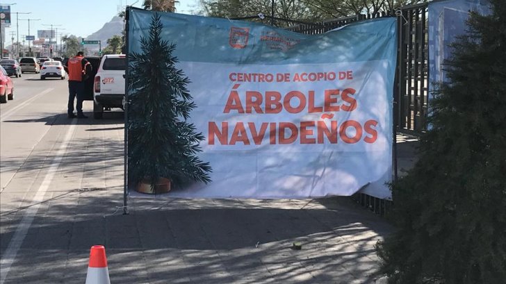 Centros de acopio para pinos navideños tendrán su último día este viernes