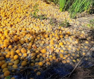 Mancha naranja invade el Río Mayo; denuncian contaminación