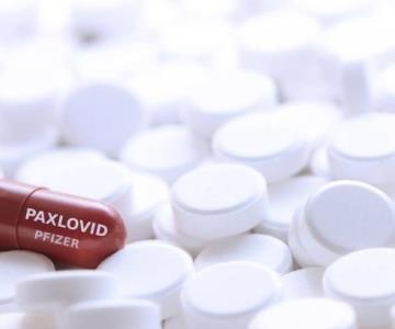 Paxlovid y Molnupiravir para tratar Covid-19 estarán bajo la tutela del Estado