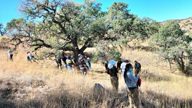 Localizan restos óseos de por lo menos 2 personas en fosas clandestinas en Nogales