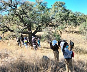 Localizan restos óseos de por lo menos 2 personas en fosas clandestinas en Nogales