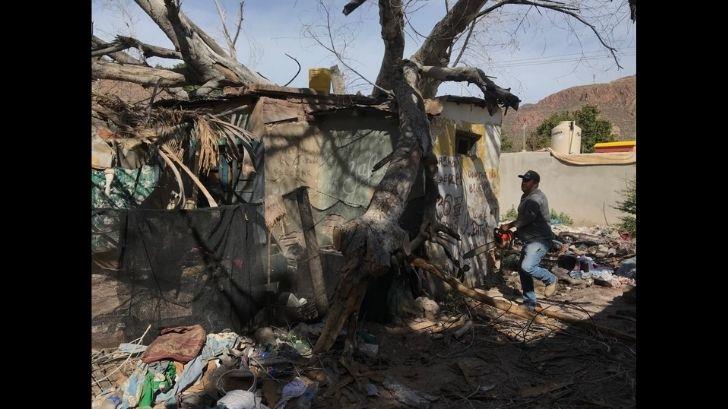 Árbol cae encima de vivienda; había tres personas dentro