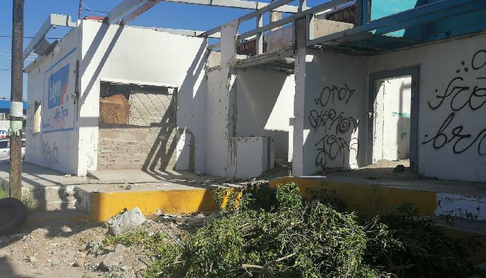 Hermosillo: Acumuladores de basura preocupan en la colonia Heberto Castillo