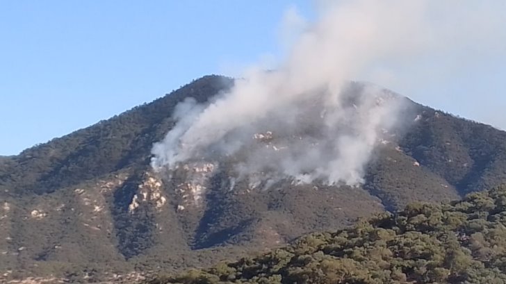 Combaten incendio en la sierra alta de Aconchi