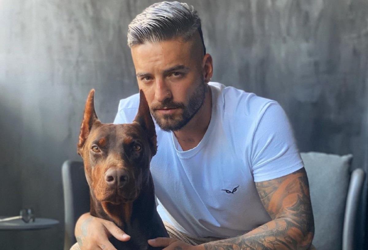 Maluma es atacado por su perro