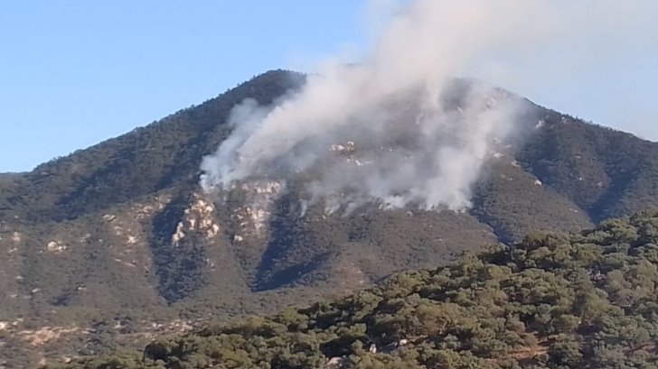 Aconchi y San Miguel de Horcasitas los más afectados por incendios forestales