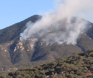 Aconchi y San Miguel de Horcasitas los más afectados por incendios forestales
