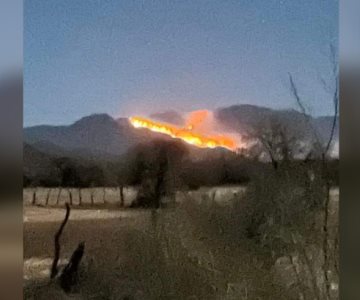 Incendio de la sierra de Aconchi sigue activo; se ha controlado sólo un 15%