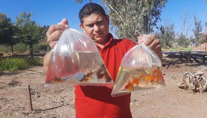 Hasta peces llevaron los hermosillenses en el cuarto Domingo de Sauceda