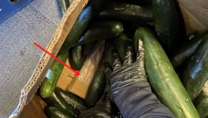 Encuentran entre pepinos 278 kilos de cocaína en la garita Mariposa de Nogales