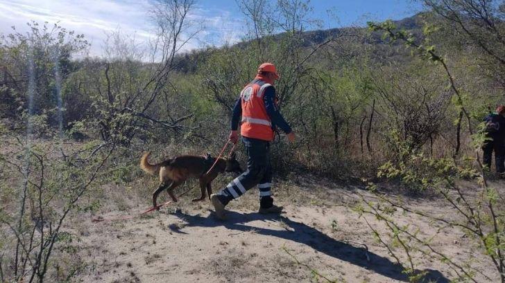 Perros de búsqueda y rescate son puestos a prueba en simulacro