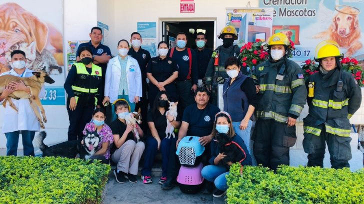 Realizan simulacro de incendio para salvar a mascotas de una veterinaria de Navojoa