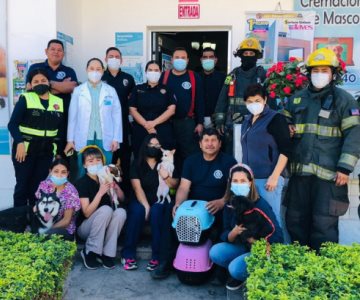 Realizan simulacro de incendio para salvar a mascotas de una veterinaria de Navojoa