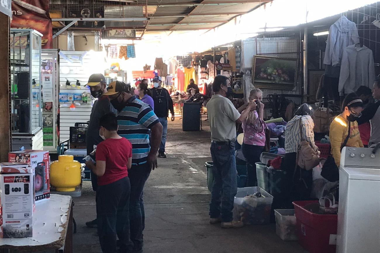 Locatarios del Tianguis Héctor Espino trabajan con plantas de luz