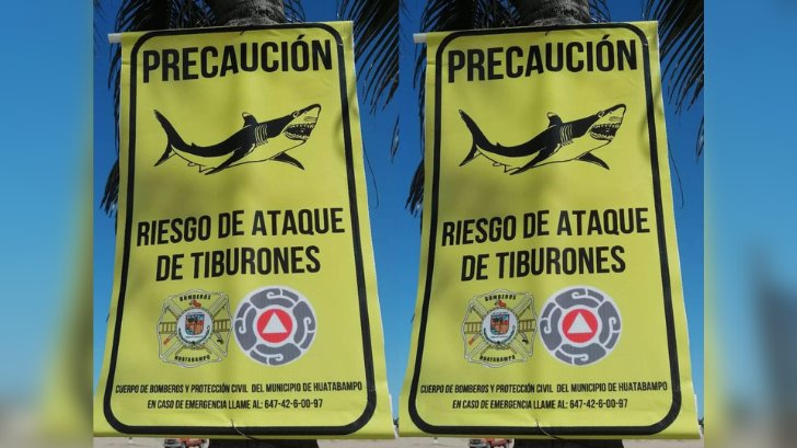 ¿Más tiburones en las playas? Colocan advertencias para los visitantes