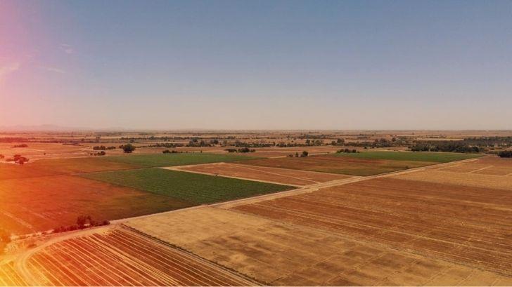 Sequía golpea a la presa del Mocúzari y a la agricultura del Valle del Mayo