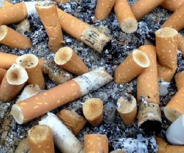 Quieren que Sonora sea pionero en disposición final de colillas de cigarros