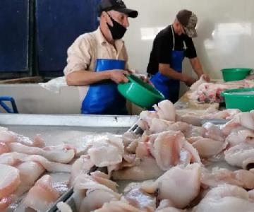 Alta demanda por Cuaresma encarece y escasea pescado y mariscos