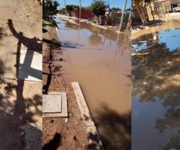 Denuncian colonia inundada de aguas negras en Ciudad Obregón