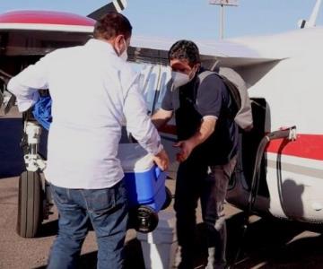 Donación de órganos en Sonora: Secretaría de Salud prepara traslado