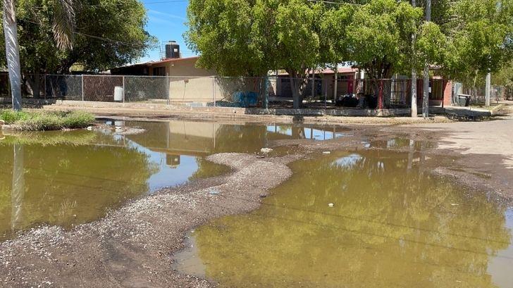 Drenaje colapsado pone en riesgo la salud de estudiantes y docentes en Navojoa