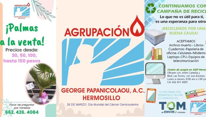 George Papanicolaou recaudan recursos con actividades de reciclaje y venta de palmeras