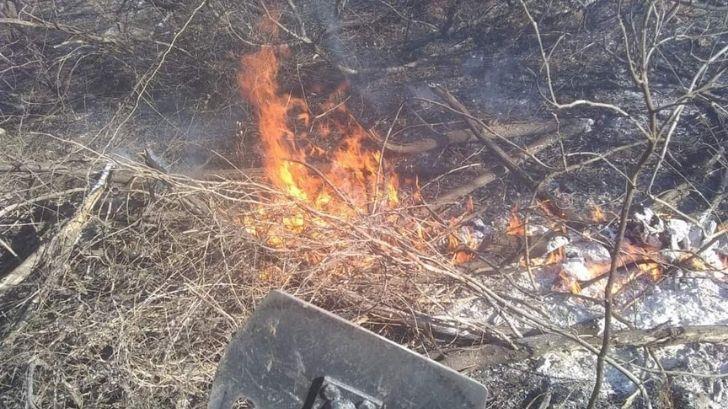 Consume el fuego 28 hectáreas de vegetación en carretera de Álamos