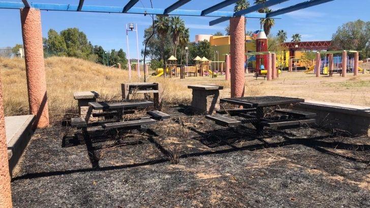 Parque La Sauceda: inician planes para resarcir los daños del incendio