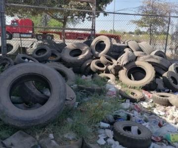 Retirarán neumáticos inservibles de las llanteras de Navojoa