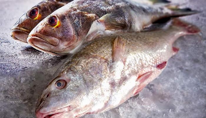 Veda afecta a pescadores de la Bahía de Tóbari