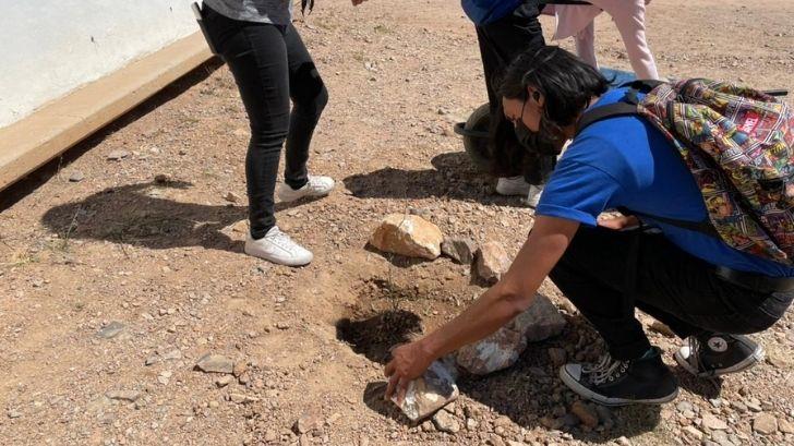 Alumnos y colectivos se reúnen a reforestar preparatoria Cetis 128