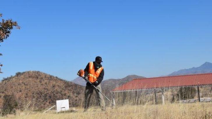 Unidad deportiva abandonada en Nogales recibe limpieza y reforestación