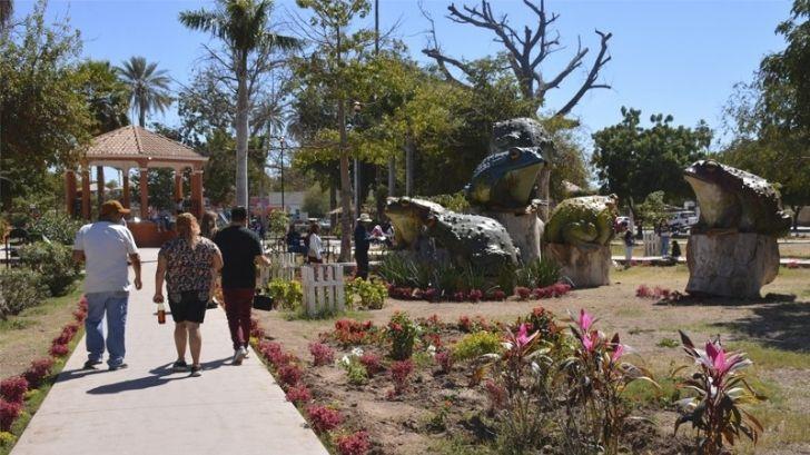 Crean figuras gigantes de sapo toro en Cócorit