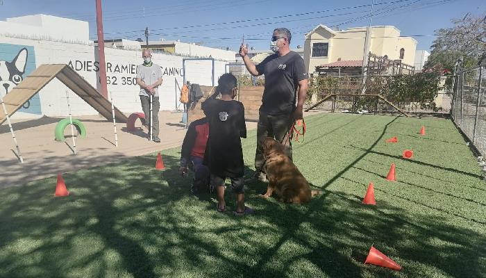 Menores infractores aprenderán disciplina y paciencia de la mano de perros entrenados