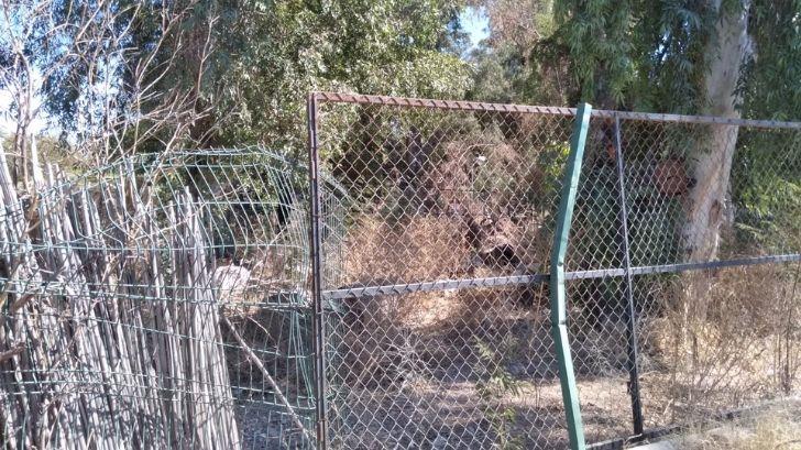 Parque Infantil de Ostimuri; buscan recuperación de zoológico