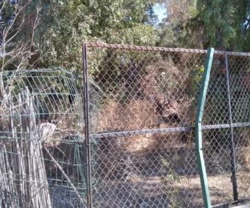 Parque Infantil de Ostimuri; buscan recuperación de zoológico