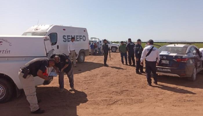 Trabajador agrícola muere atropellado en Valle de Guaymas
