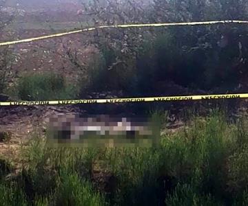 Hermano de desaparecido localiza su cuerpo en un canal de Huatabampo