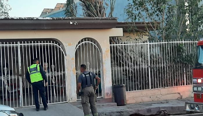 Caída de palmera quedó en susto para mujer mayor