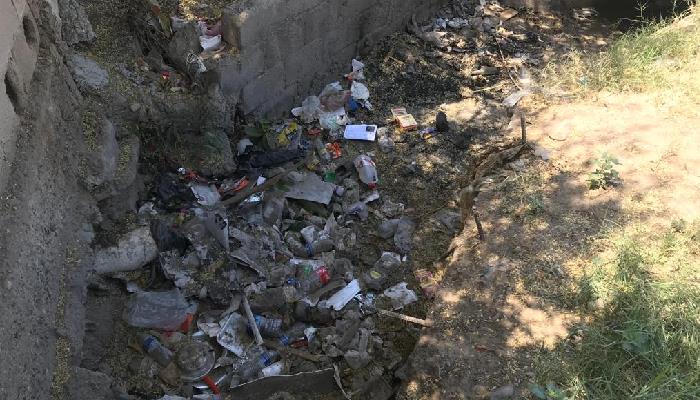 Canal de la colonia Palo Verde es un foco de infección