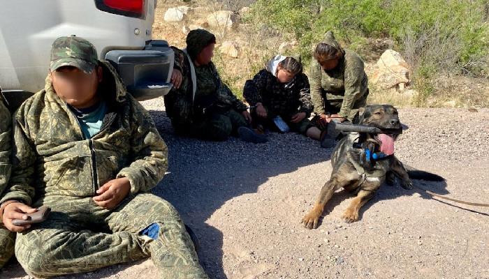 Patrulla Fronteriza en apoyo de caninos detienen inmigrantes en la frontera de Arizona
