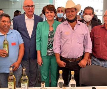 Sonora tiene a uno de los mejores productores de mezcal Lechuguilla en el país
